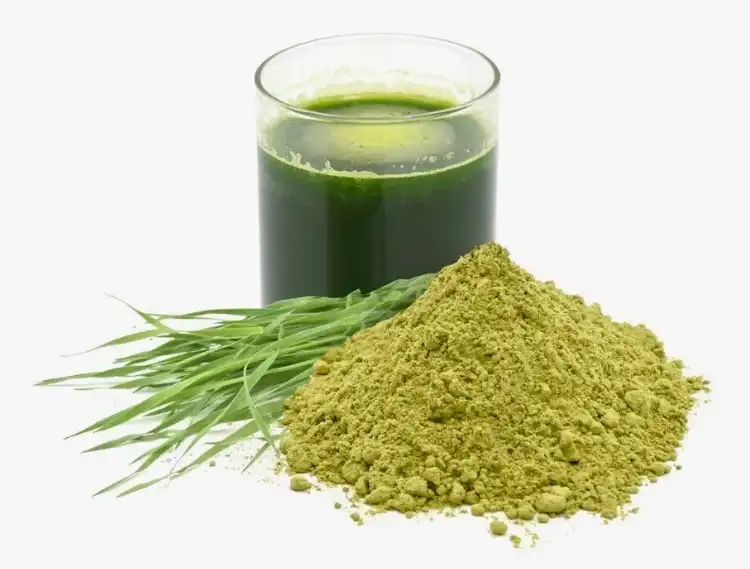 Raw Wheat Grass Juice Powder: How does it aid in detoxification?